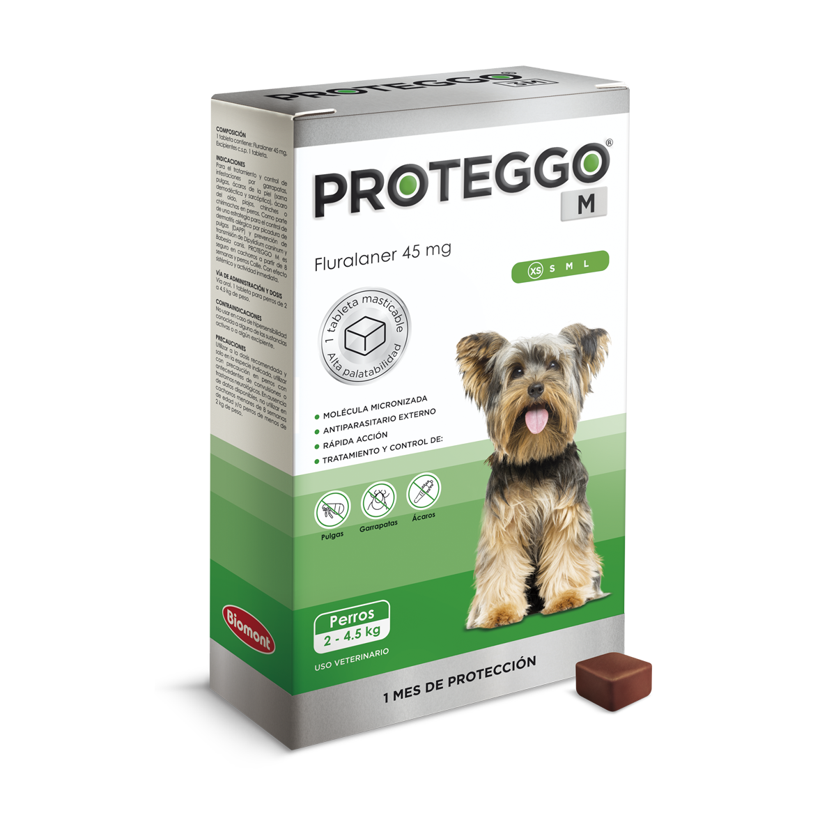 Inicio english proteggo